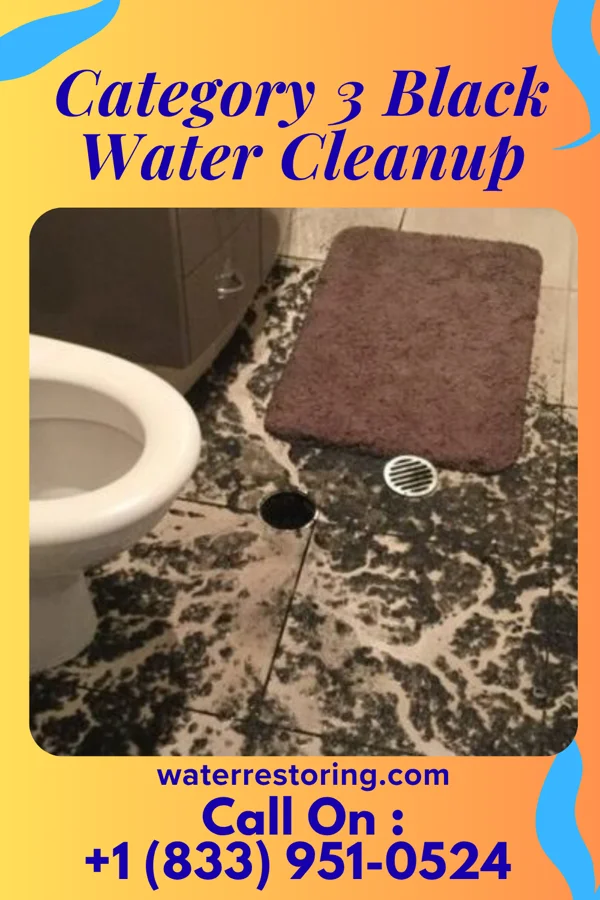 Category 3 Black Water Cleanup in Holiday Shores, IL