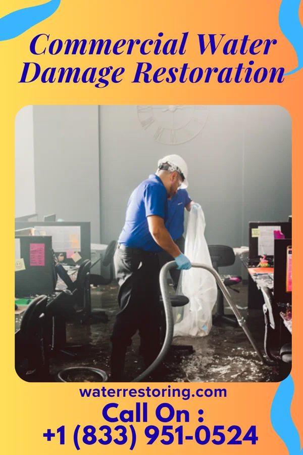 Commercial Water Damage Restoration in Holiday Shores, IL
