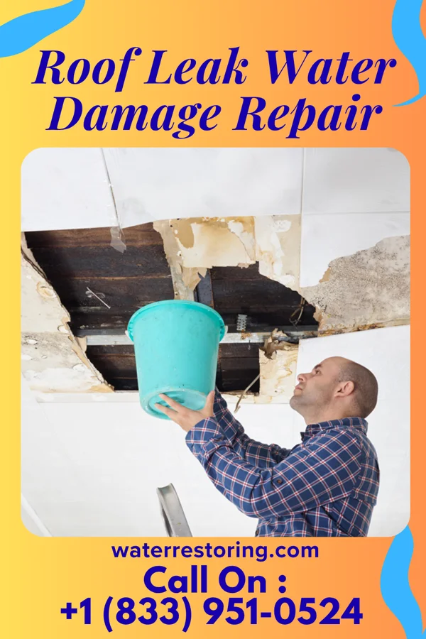 Roof Leak Water Damage Repair in Holiday Shores, IL